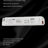 Inverter Lampu Darurat LED 2W 3W Pabrik Terpercaya, Uji Mandiri 3 Jam, Paket Baterai LiFePO4 Isi Ulang untuk Lampu Linear Batten
