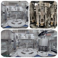 Machine de remplissage et de bouchage automatique électrique GZ-12-10 pour flacons en verre de 50 ml et 100 ml de sirop contre la toux à base de plantes et de liquides oraux, avec moteur et engrenage