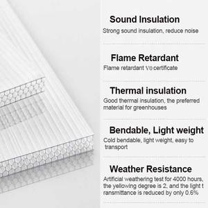 ألواح دفيئة من البولي كاربون ، ألواح دفيئة من البولي كربونات ، ألواح <span class=keywords><strong>PC</strong></span> ، داعمة شفافة - Product Image 4