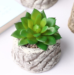 Plante <span class=keywords><strong>cactus</strong></span> pour décoration de Table, Mini plantes en pot, artificielles et succulentes, plantes en pot, nouvelle collection,