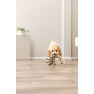 Giocattolo da masticare per animali domestici a forma di lisca di pesce, corda in cuoio 43 cm per cani - Product Image 3