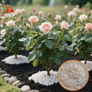 XuAng hortícola <span class=keywords><strong>perlita</strong></span> expandida 3-6mm estructura porosa maceta suelo enmienda drenaje medio <span class=keywords><strong>perlita</strong></span> - Product Image 2