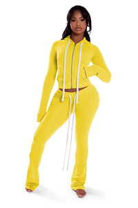 Setelan pakaian santai kustom musim gugur setelan dua potong beludru modis ritsleting ganda bertudung setelan olahraga wanita pelari <span class=keywords><strong>Set</strong></span> pakaian wanita - Product Image 5