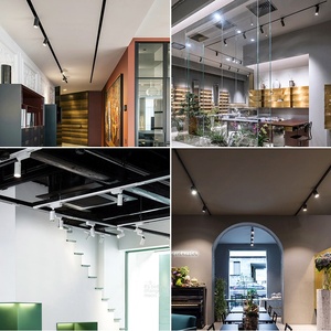 Luz de pista COB, luz deslizante 20W30W, tienda de ropa, tienda de té de la leche, sala de exposición, luz de pista LED - Product Image 4