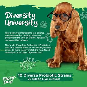 OEM Private Label Chicken & Turkey Flavored Probióticos Soft Chews Gut Saúde Pet Nutrição Suplemento Lanche para Cães - Product Image 2