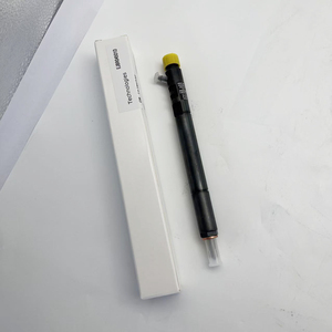 Einspritz ventil für Del-phi-und SSANG YONG-Dieselmotor teile EJBR04501D - Product Image 3