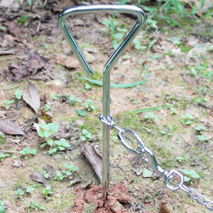 Hot Selling Pet Outdoor Products Tie Out Stake pour chien - Product Image 3