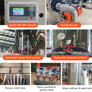 Lhs 100 150 1000 200 250 300 400 600 700 750 800 kg khí đốt tự nhiên LPG dầu diesel bắn nhỏ dọc nồi hơi để giặt - Product Image 6