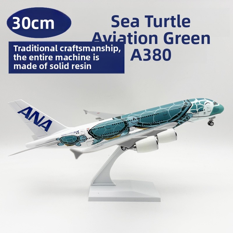 30CM Green Sea Turtle A380