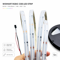Bande LED COB RGBIC WISMART 12V, 576 LED/m, 5m, 14W, IP67, étanche, adressable, effet de poursuite de couleur, pour bar, KTV, décoration extérieure