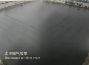 65ミリメートルDiameter Pipe Aquaculture Aeration Roots Blower Fish And Shrimp Farms Aeration