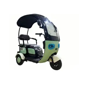Ladung für hintere Achse Saudi-Arabien 250 Cc Mädchen Körpergetriebe mobiles Motorrad für Lebensmittel Handicap-Fahrrad Verkauf von Elektro-Dreifahrrad