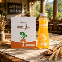 Yacon Gember Ginseng Gemengde Sap Gezonde Dagelijkse Ochtenddrank Zoet en Sappig Clean Label 280ml Karton Verpakking