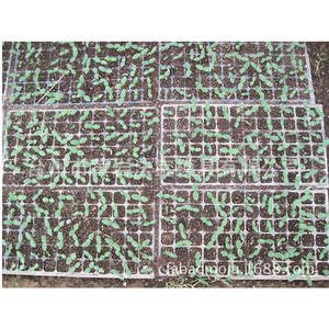 Bandeja de Plástico para Semillas Fabo Mold, Rectangular, con Múltiples Cavidades y Orificios de Drenaje para Cultivo en Viveros - Product Image 2