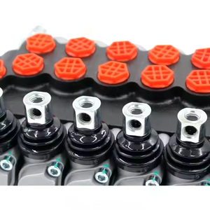 Válvula de Control Direccional Hidráulica P40-G12-G38 para Maquinaria de Construcción, Agrícola e Industrial |   Serie de Válvulas Monobloque - Product Image 5