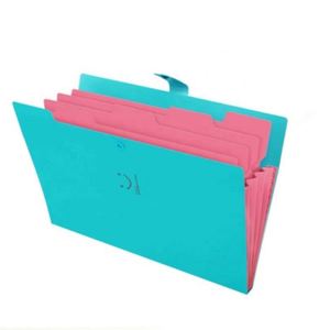 5 Pack Expanding <b>File</b> <b>Folders</b> Accordion Document <b>Organizer</b> Letter A4 Paper Plastic <b>File</b> <b>Folder</b> 5 Pocket Expandable <b>File</b> - Product Image 5