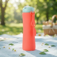 Vente directe d'usine, tasse à café en silicone écologique, bouteille d'eau pliable antidérapante avec couvercle, cadeau pour la rentrée scolaire, randonnée