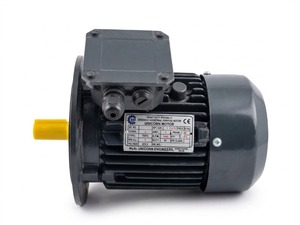 Motor Eléctrico Trifásico Industrial de Alta Resistencia, Motor de CA con Cuerpo de Hierro Fundido, Montaje con Brida, Alta Eficiencia, Motor de 1 HP para Maquinaria - Product Image 2