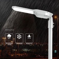 La sécurité électrique certifiée ENEC a mené l'éclairage public 50w 100w 150w a mené le réverbère pour l'éclairage de route urbaine