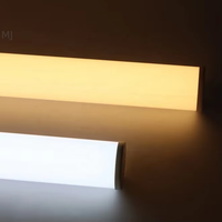 Profilé LED circulaire suspendu en aluminium de diamètre R30mm avec diffuseur, bande LED ronde de 2m