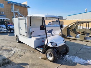 Giá Rẻ Nhất Tuyệt Vời Hill Leo Khả Năng Điện Tiện Ích Xe Tiện Ích Golf Giỏ Hàng Với Nhôm Hộp Hàng Hóa - Product Image 6