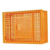 Caisse de transport robuste pour volailles, ventilée et réutilisable, pour élevages avicoles et commandes en gros