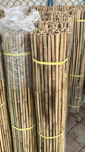 Canes en bambou naturel de haute qualité, piquets en bambou agricoles pour le soutien des plantes de pépinière, des fleurs et des tomates - Product Image 2