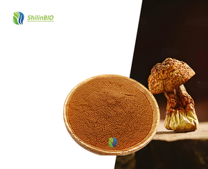Extrait d'herbes de qualité alimentaire SLBIO, poudre de polysaccharides de <span class=keywords><strong>champignon</strong></span> Agaricus Blazei, concentration de 30%, disponible en emballage en bouteille - Product Image 1