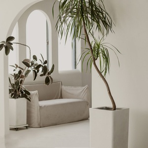 Jardinières pots <span class=keywords><strong>de</strong></span> semis pour plantes, pots <span class=keywords><strong>de</strong></span> fleurs pour la croissance des plantes, jardinière moderne écologique avec plateau - Product Image 3
