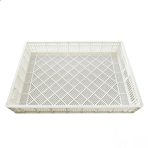 Incubateur automatique pour 150 œufs avec panier d'éclosion en plastique, design moderne, utilisation extérieure, léger et durable - Product Image 3