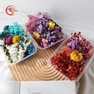 Fleurs et plantes séchées naturelles Lonma avec eucalyptus pour la décoration <span class=keywords><strong>de</strong></span> bougies parfumées DIY - Couleurs personnalisables - Product Image 4