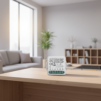 Module variateur intelligent WiFi Tuya PST-D02 à prix promotionnel 2025, télécommande 2 canaux, 60W, garantie 2 ans
