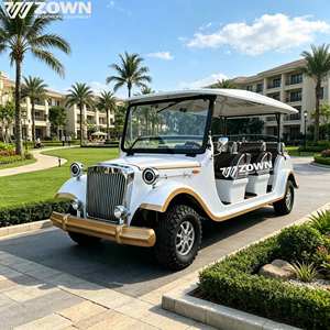 Voiture électrique rétro classique alimentée au lithium 72V, buggy personnalisé avec logo pour club de golf - Product Image 1