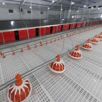 Équipement de levage de sol pour poulets de chair Mangeoire à poêle automatique pour élevage de volailles