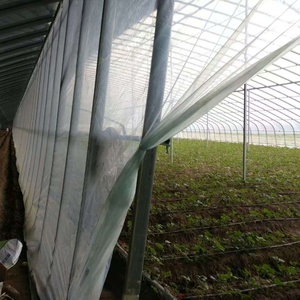 Large Plastic <strong>Poly</strong> Film Agriculture Greenhouse Low <strong>Cost</strong> High <strong>Tunnel</strong> for Growing Vegetables Hydroponic Agriculture Greenhouse - Product Image 6