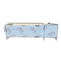 Automatische wortelgroente reinigingsborstelmachine, fruitroller wasmachine, appel, sinaasappel, cassave polijst- en wasmachine