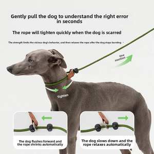 Tali kekang hewan peliharaan, tali anjing besar terintegrasi P nilon dan rantai dengan tombol penutup empuk - Product Image 3