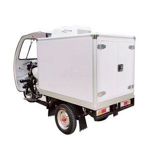 <span class=keywords><strong>Trimoto</strong></span> cerrada, triciclo refrigerado Popular de 250cc, 300cc, motocicleta de tres ruedas, <span class=keywords><strong>gasolina</strong></span> - Product Image 2