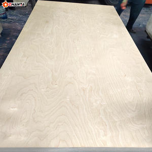 Diseño moderno <span class=keywords><strong>de</strong></span> <span class=keywords><strong>segunda</strong></span> <span class=keywords><strong>mano</strong></span> Okoume/Álamo/abedul/Pino 3/4 CDX madera contrachapada 4x8 E0 emisión <span class=keywords><strong>de</strong></span> formaldehído 1 año para encofrado <span class=keywords><strong>de</strong></span> hormigón - Product Image 2