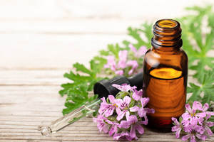 Aceite Esencial de Geranio Premium para Aromaterapia y Cuidado Personal, Aceite Botánico Destilado al Vapor para Difusor y Masajes - Product Image 2