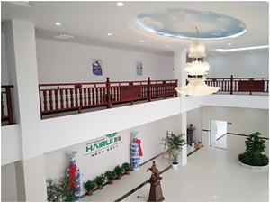 Olio Essenziale di Eucalipto 100% Puro, Olio Naturale per la Cura della Pelle, per Ridurre i Pori e Controllare il Sebo - Product Image 6