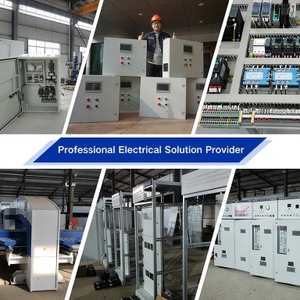 Sistema Integrado de Generación de Energía Solar con Gabinete de Almacenamiento de Energía LiFePO4, Personalizable, Venta al Por Mayor - Product Image 2