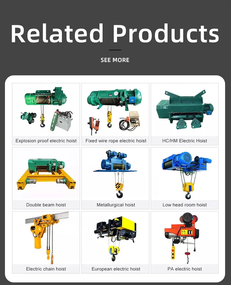 Motor Lifting Electric Hoist Price Factory