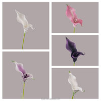 Bunga Calla Lily Artifisial PU Berkualitas Tinggi dengan Sentuhan Alami Warna Putih untuk Dekorasi Rumah, Rangkaian Hari Valentine, dan Musim Gugur, Dapat Digunakan Kembali