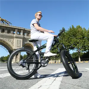 En iyi tedarikçi 21 hız 20/26 inç * 4.0 yağ lastik kum bisikletleri 20/26 inç * 4.0 yağ bisiklet alaşım vites kolu disk fren çelik çatal