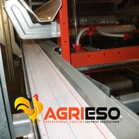 Système de cage à poules pondeuses de type H avec ligne d'alimentation et d'abreuvement entièrement automatiques et système de collecte des œufs pour élevages commerciaux de poules pondeuses