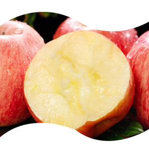 <strong>Red</strong> Fuji <strong>Apple</strong> Flavor High Concentration Liquid/Powder Extract Natural Aroma Authentic Sweet-Tart Profile for Beverages Dairy - Product Image 6