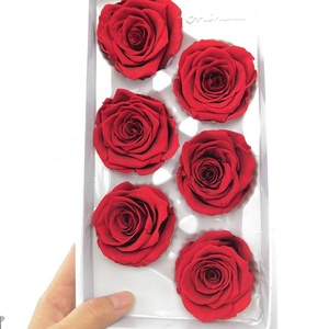 ดอกกุหลาบแดงอบแห้งขนาด 5-6 ซม. ขายส่ง สำหรับคริสต์มาสและวันวาเลนไทน์ - Product Image 4