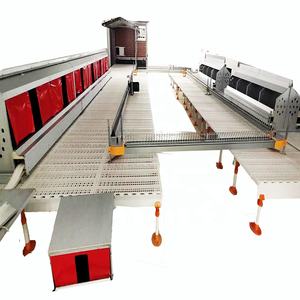 Système de Chaîne d'Alimentation Automatique pour Poulets à Moteur pour l'Élevage de Poulets de Chair et de Poules Pondeuses – Équipement Agricole - Product Image 1