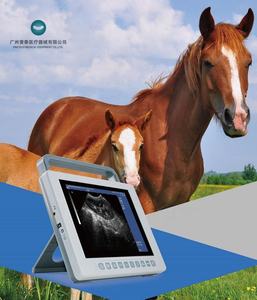 Échographe vétérinaire <span class=keywords><strong>portable</strong></span> sans fil B21Vet Farmscan pour mesurer les follicules - Product Image 3